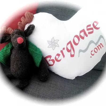 Bergoase